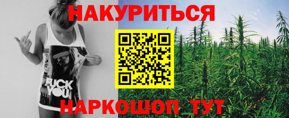 Конопля гибрид Артёмовский